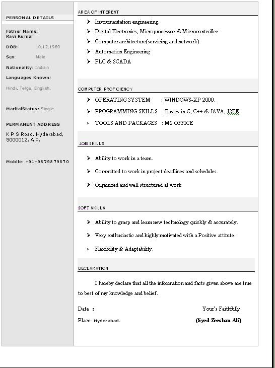 Model resume format for bpo